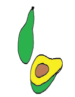 avoca