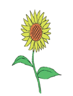 igihwagari