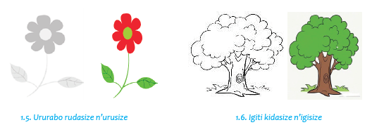 flowers and a tree