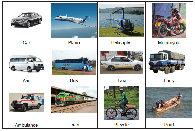 MEANS OF TRANSPORT