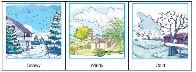 WEATHER WORDS