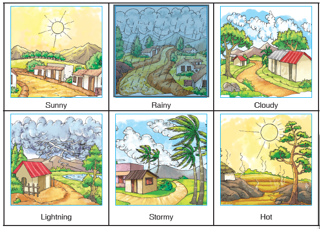 WEATHER WORDS