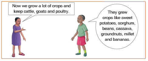 READING ACTIVITY