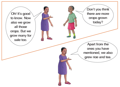 READING ACTIVITY