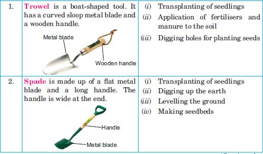 transplanting tools
