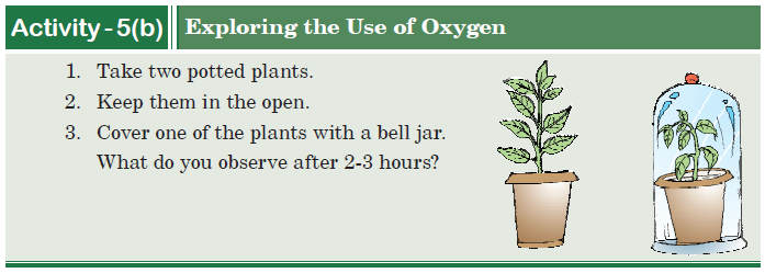 Activity-5(b)