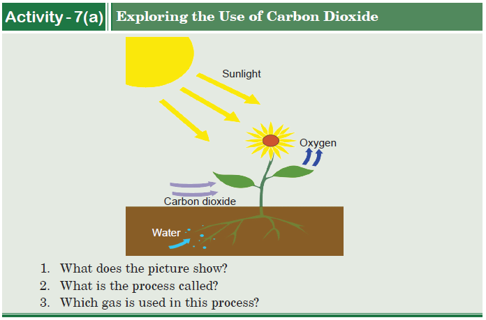 Activity-7(a)
