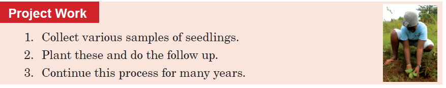 Collect various samples of seedlings