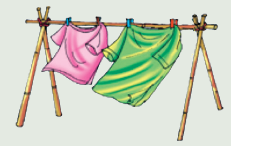 clothes