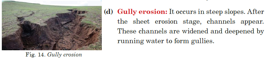 gully erosion
