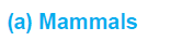 mammals
