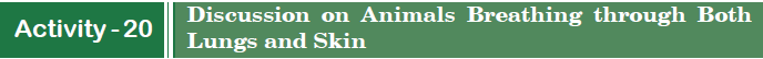 Discussion on Animals Breathing through Both Lungs and Skin