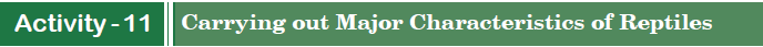 Carrying out Major Characteristics of Reptiles