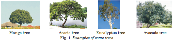trees