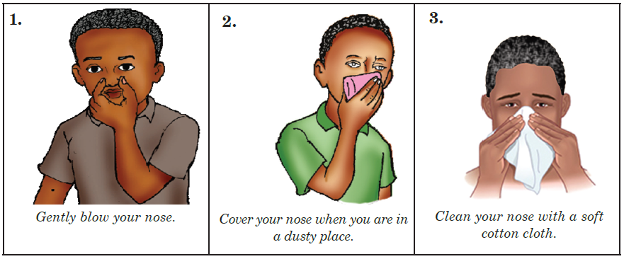 You can take care of your nose in the following ways: