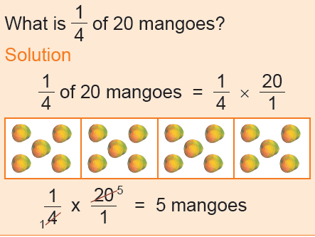 fraction