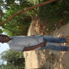 Picture of Daniel Niyonizera