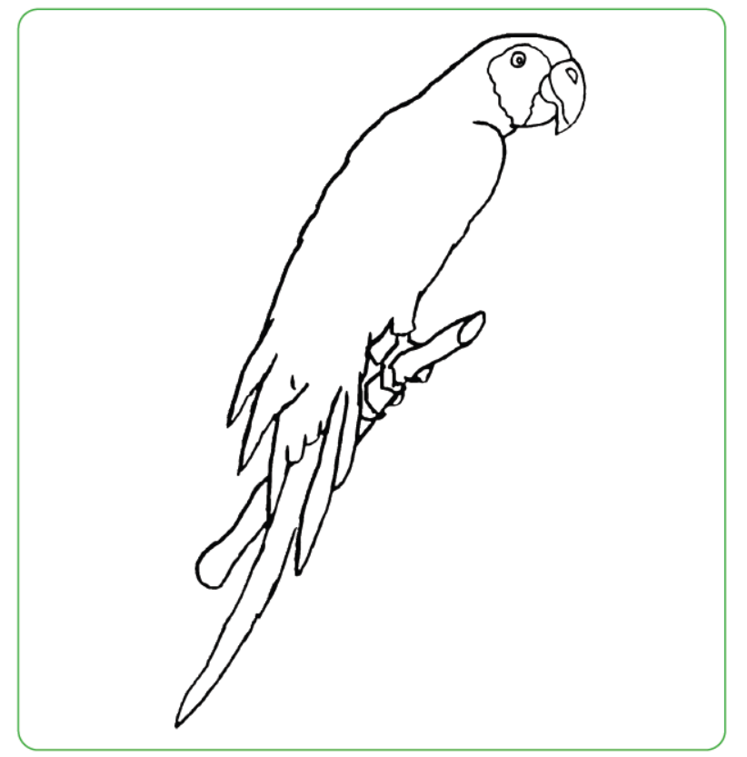 yes