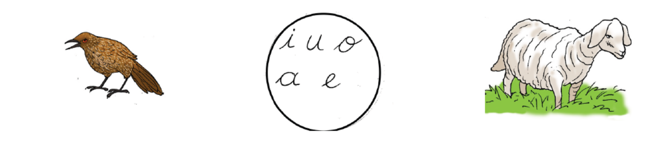 s