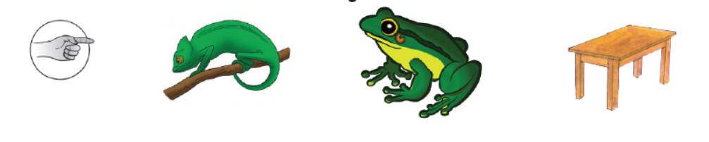 yes