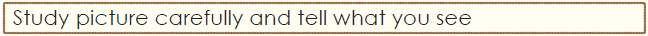 ok