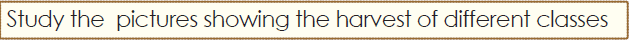 ok