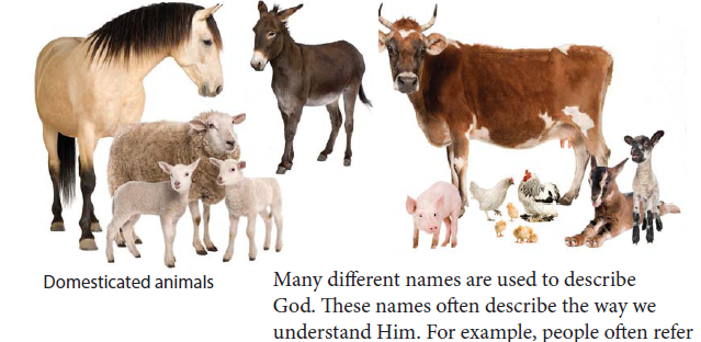 ok
