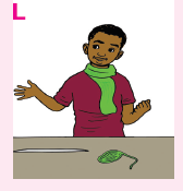 o