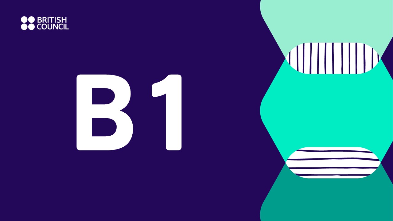 B1