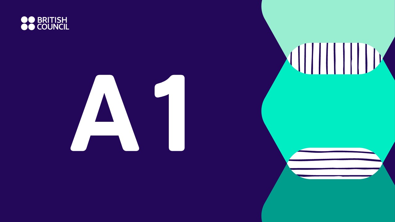 A1