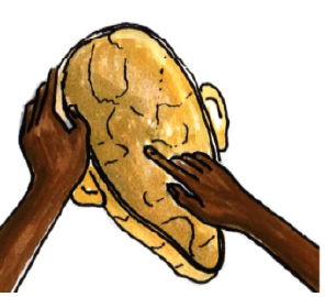 l