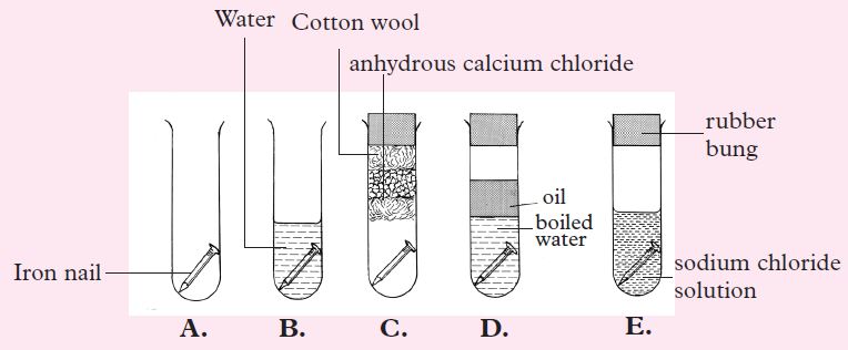 chem